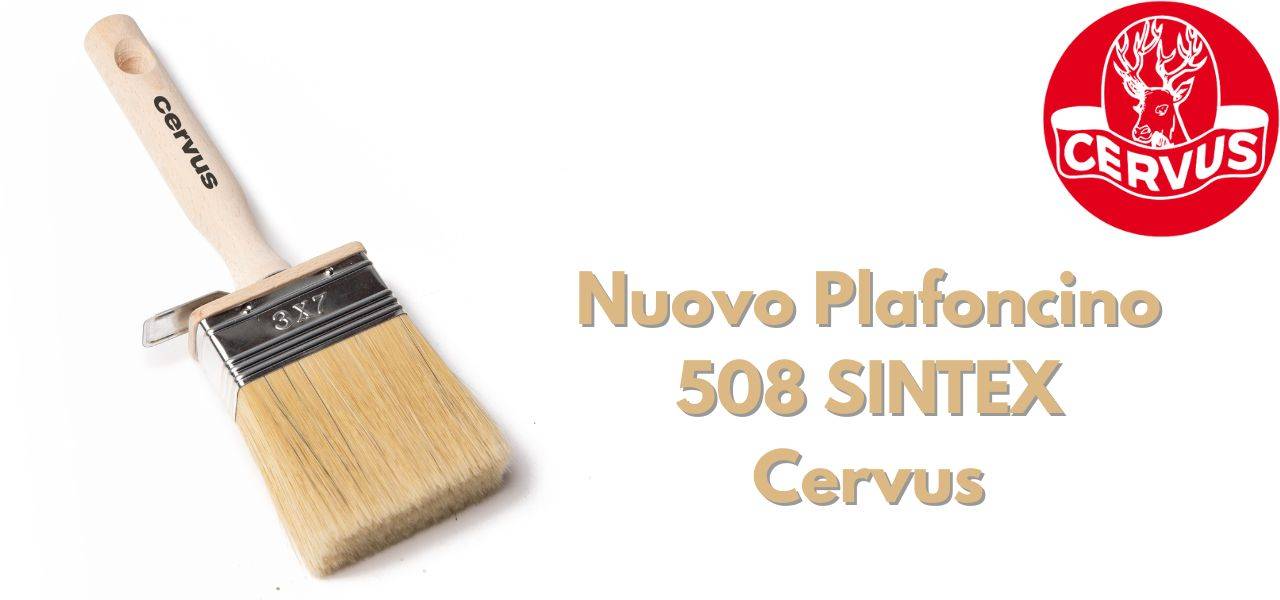 Introducing 508 Sintex